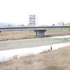 とある河川敷の一光景