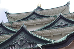 IMGP6416