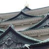 IMGP6416