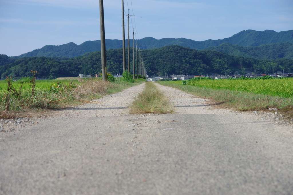 IMGP9808