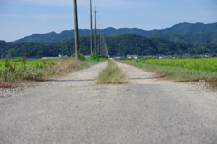 IMGP9808