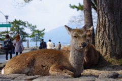 きもちいぃ・・・