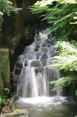 IMGP6445