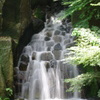 IMGP6445