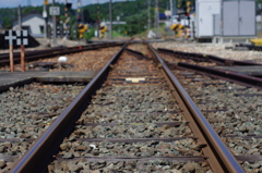 IMGP6647
