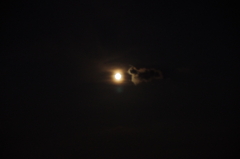 IMGP9923