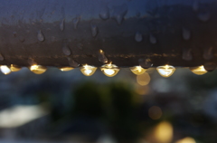 梅雨の輝き