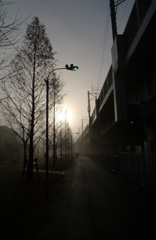 朝もやの水銀灯