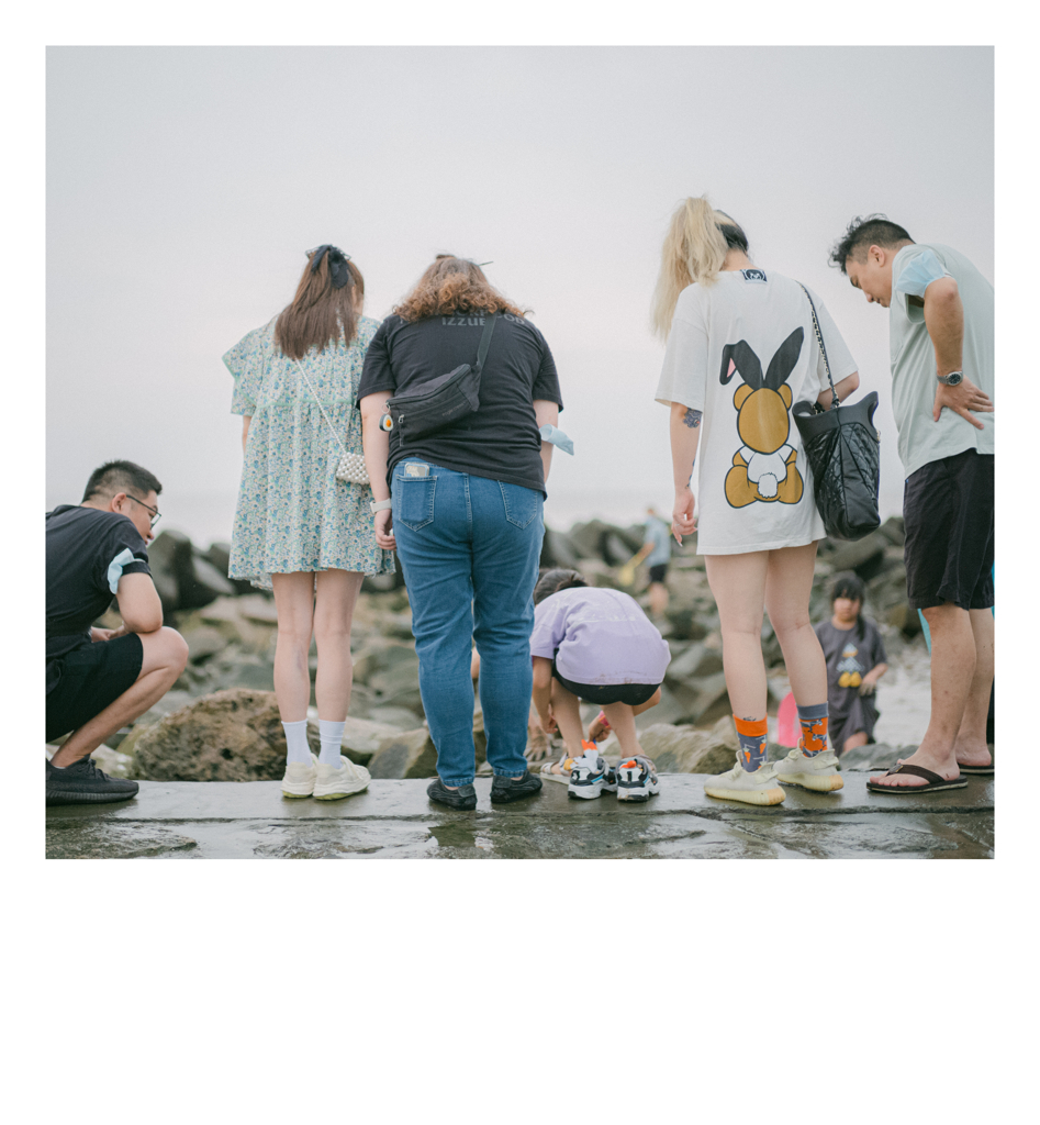 海