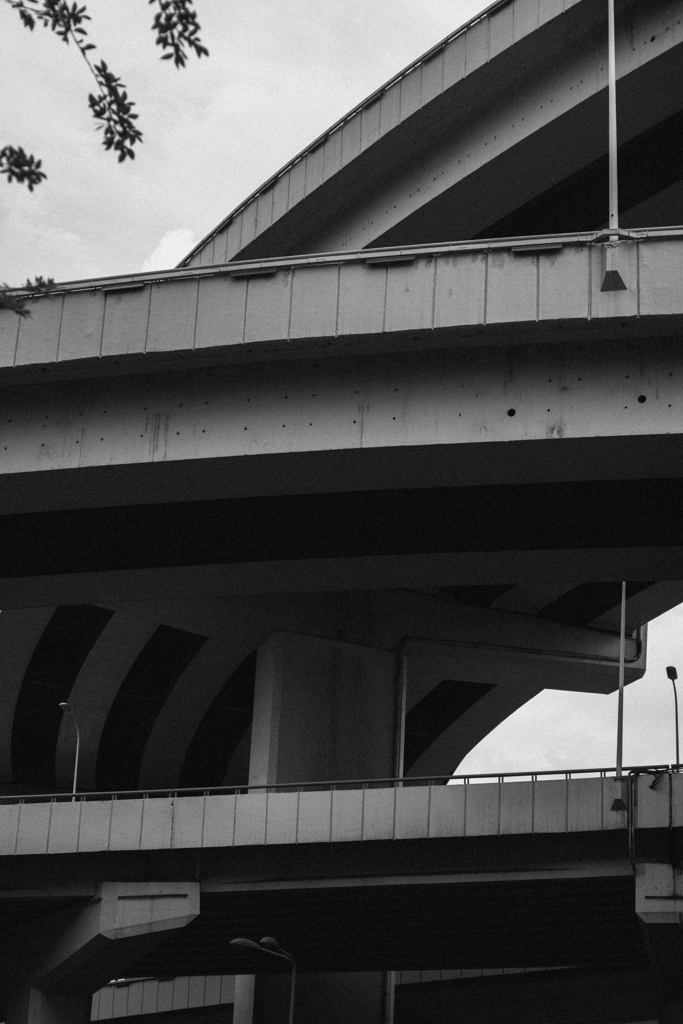 橋