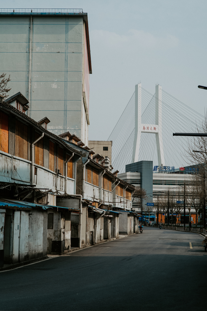 上海の春