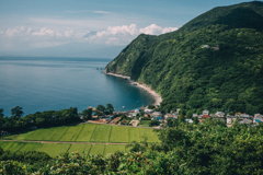 初夏