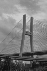 橋