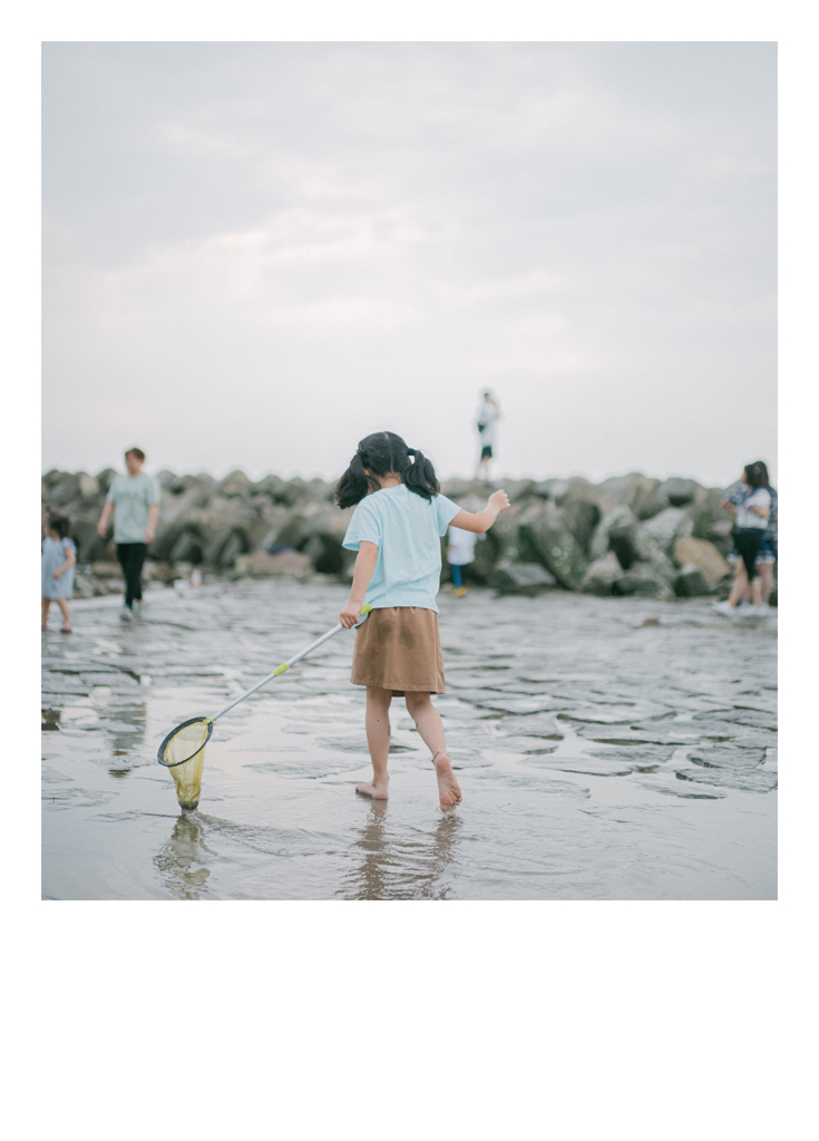 海