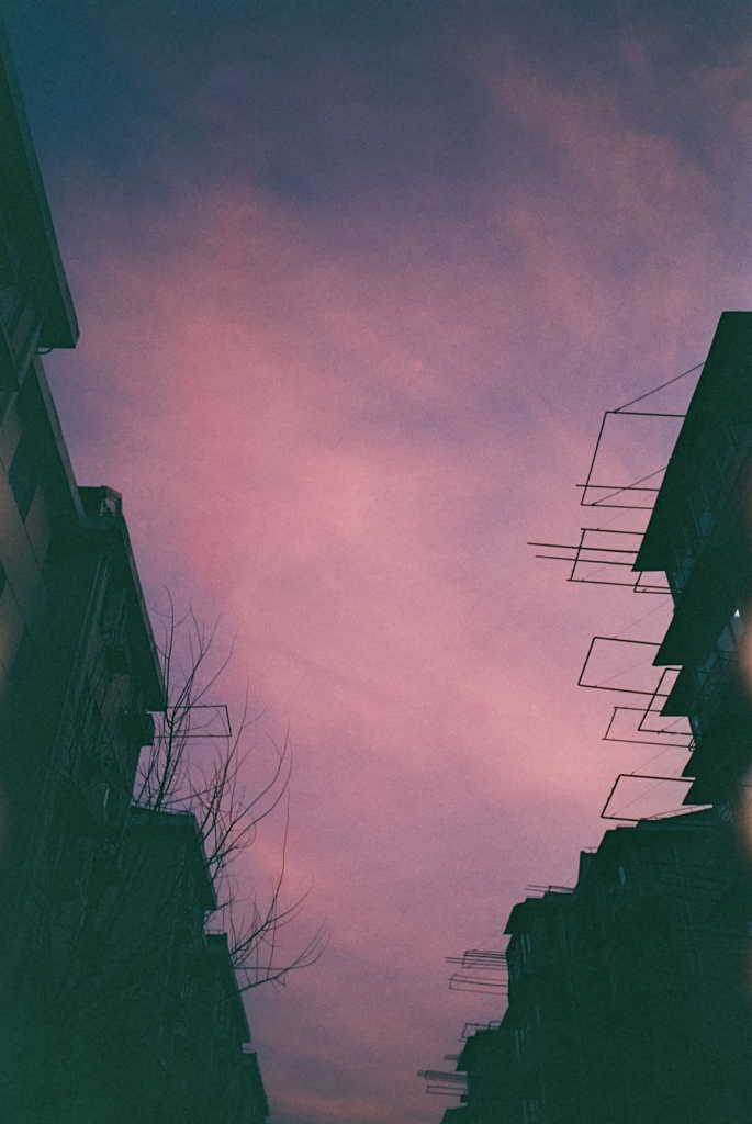 lomo夕焼け