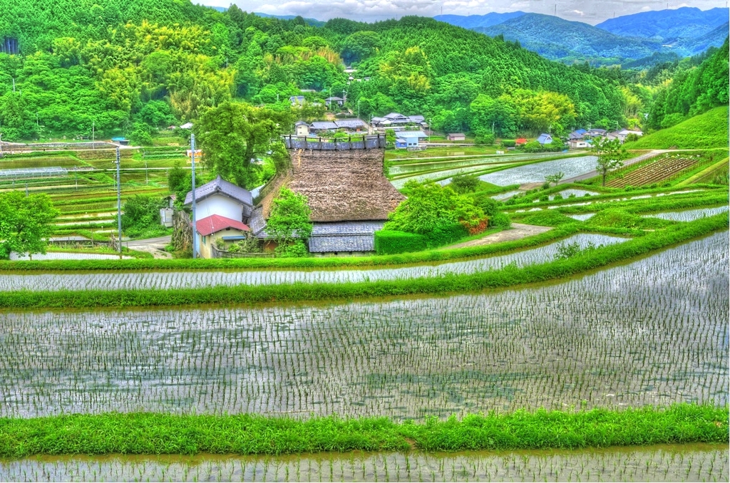 里