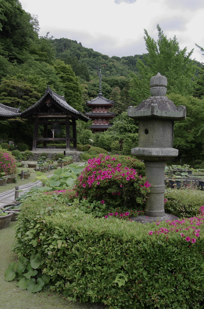 三室戸寺三重塔