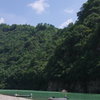 わんぱくたちの夏休み