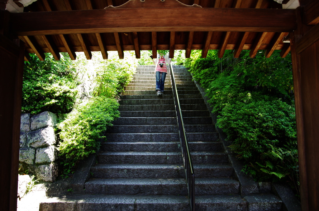 いい写真撮れましたか？