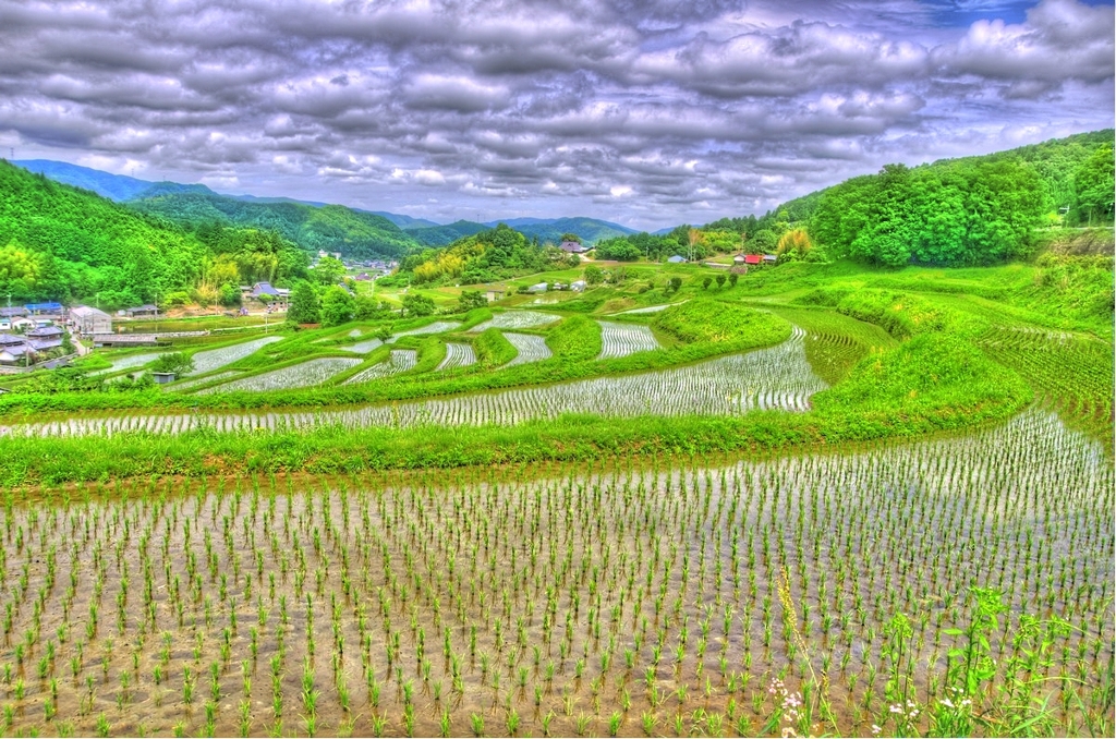 あなたの原風景