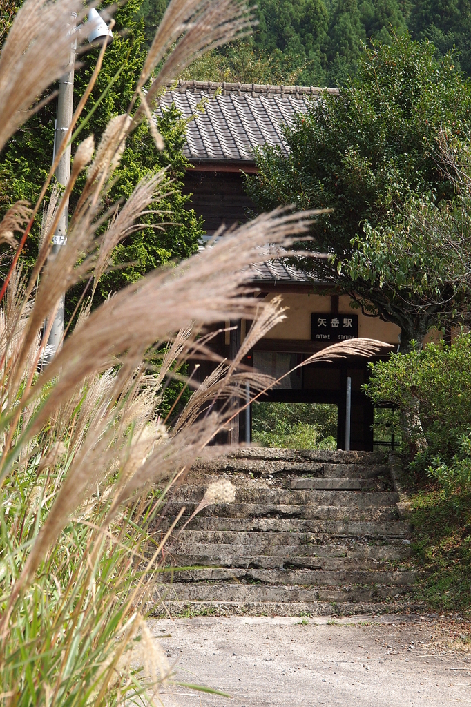 秋の矢岳