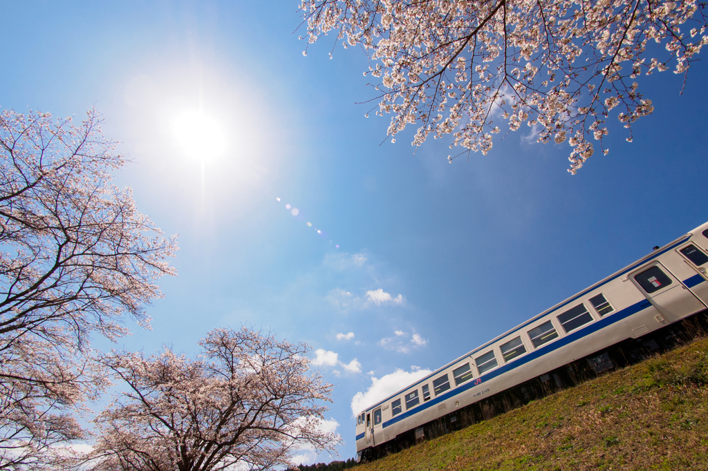 桜空