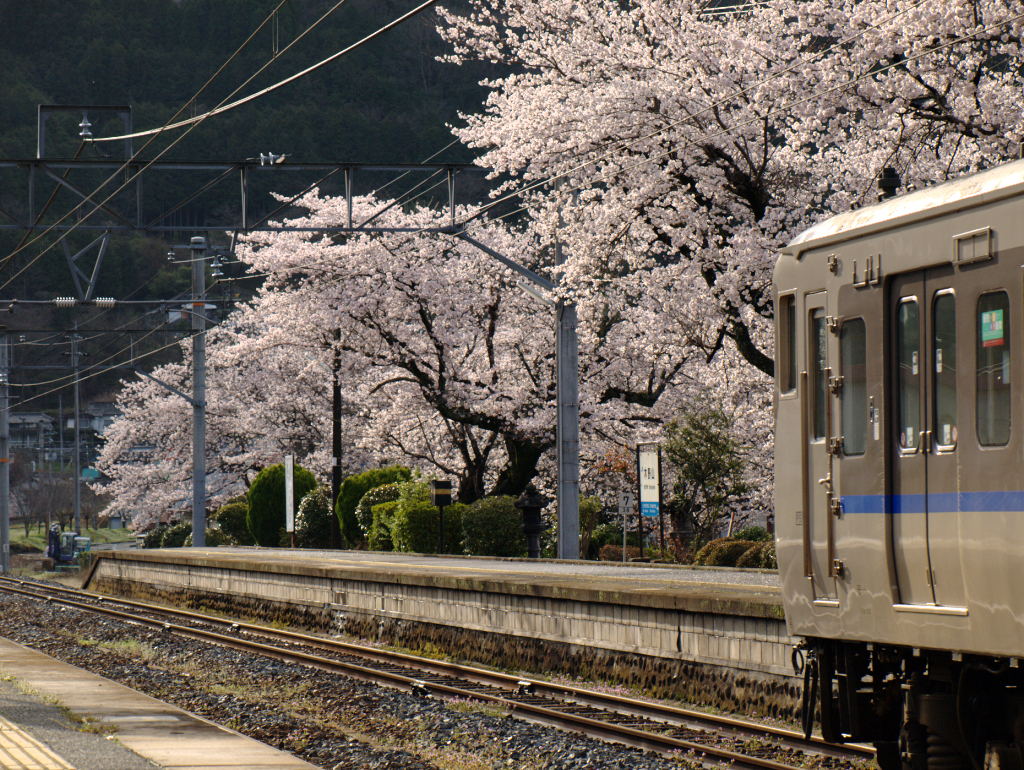 木野山駅