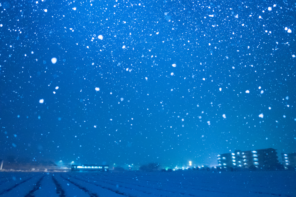 雪舞う街を