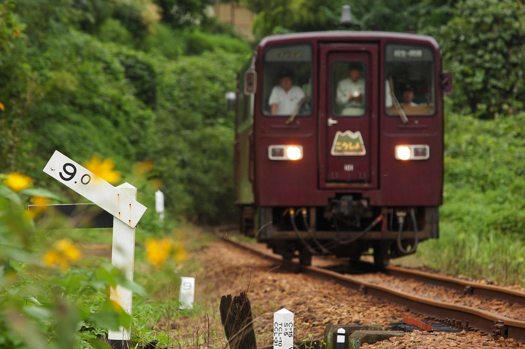 あかがね色の単行列車