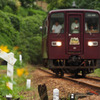 あかがね色の単行列車