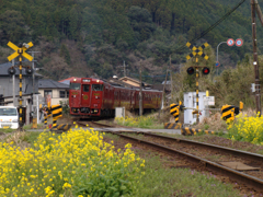 いさぶろう・しんぺい用車両の鈍行列車