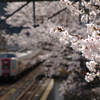 桜とやくも号