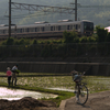 田植え3