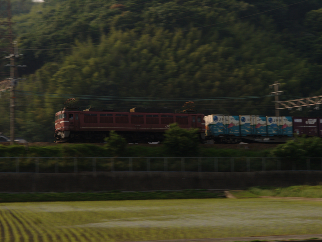 北陸からの貨物列車