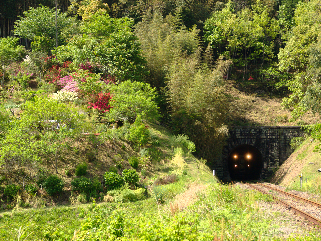 トンネルの中から