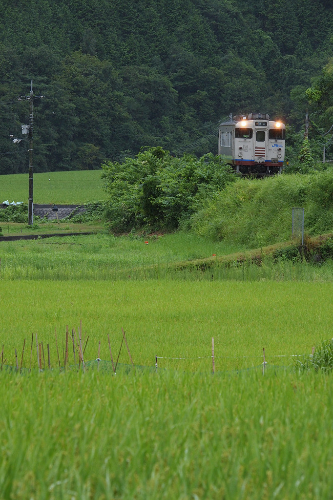 田園風景