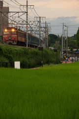 家路と旅路