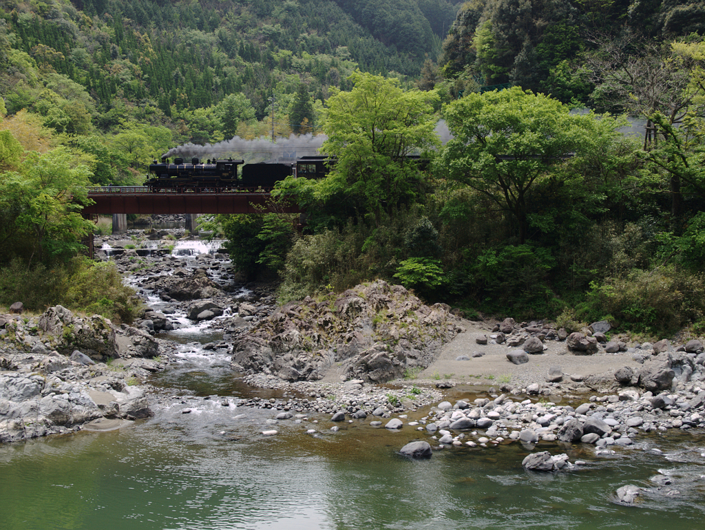 渓流を渡る