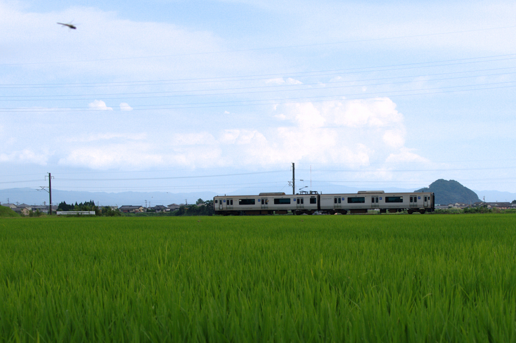 トンボと青空と電車