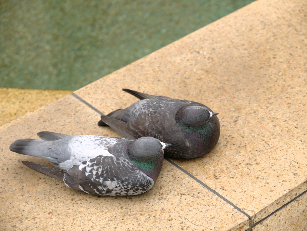 どこを見てるの?