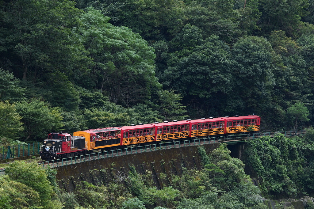 トロッコ列車