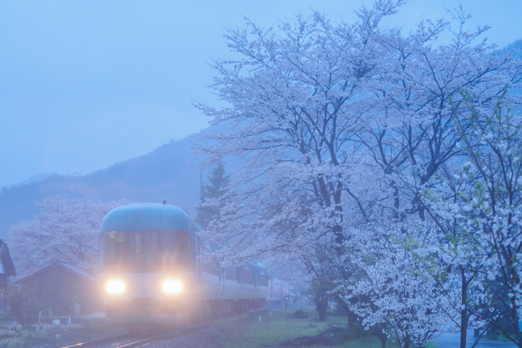 桜の駅