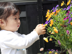 お花大好き