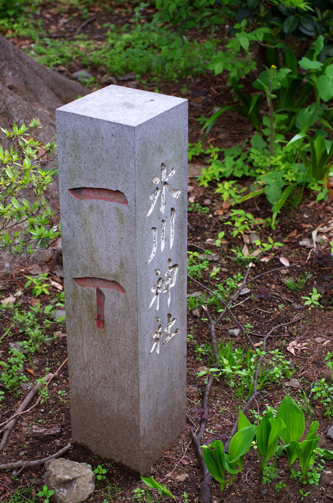 参道にて
