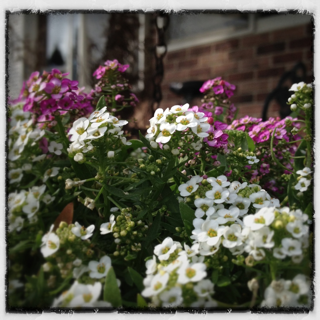 職場の玄関にて