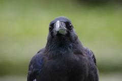 どうだっ！という感じ