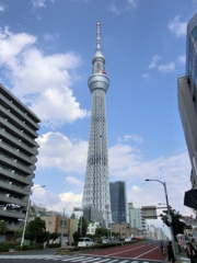 スカイツリー（プレミアムオート）