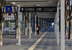 お帰りかな？