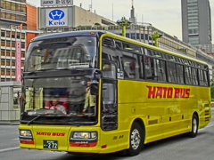 HATOBUS