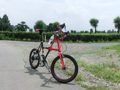 夏のポタリング